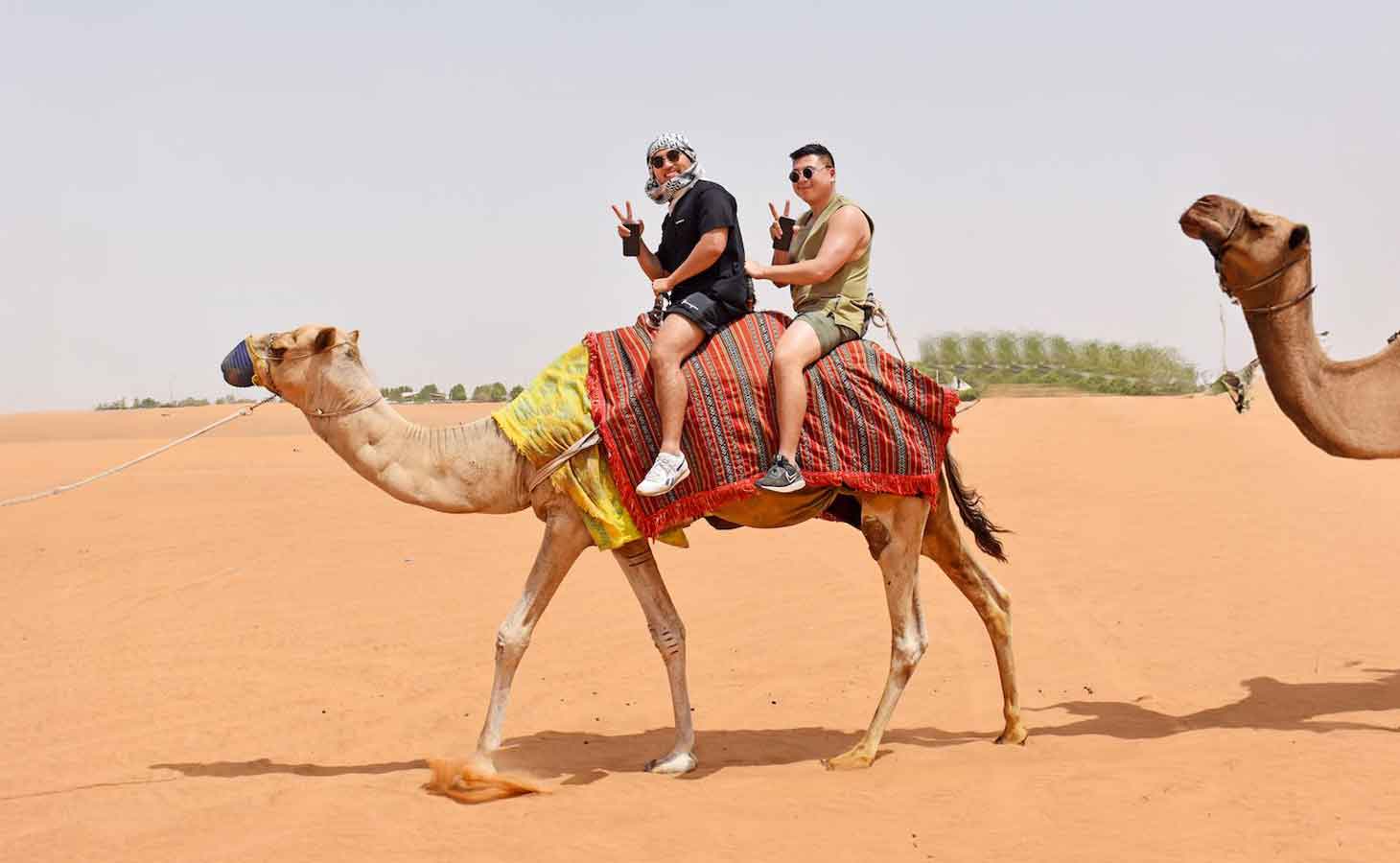 Camel-Ride