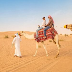 Morning-Dubai-Camel-Riding-Tours